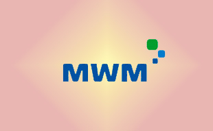 ✓ MWM 2931737 Комплект прокладок ДВС 
